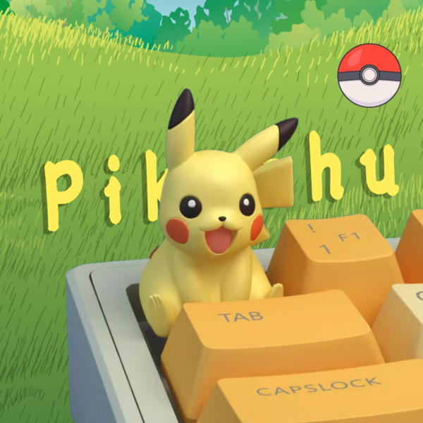 POKEMON THEMED 3D KEYCPAS