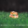 POKEMON MEW KEYCPAS[High-Grade]