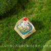 POKEMON TOGEPI KEYCPAS[High-Grade]